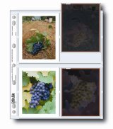 【ワゴンセール】4x5サイズネガファイル/4枚収納/10枚入り